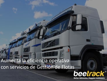 Aumenta_la_eficiencia_operativa_con_servicios_de_Gestin_de_Flotas.jpg