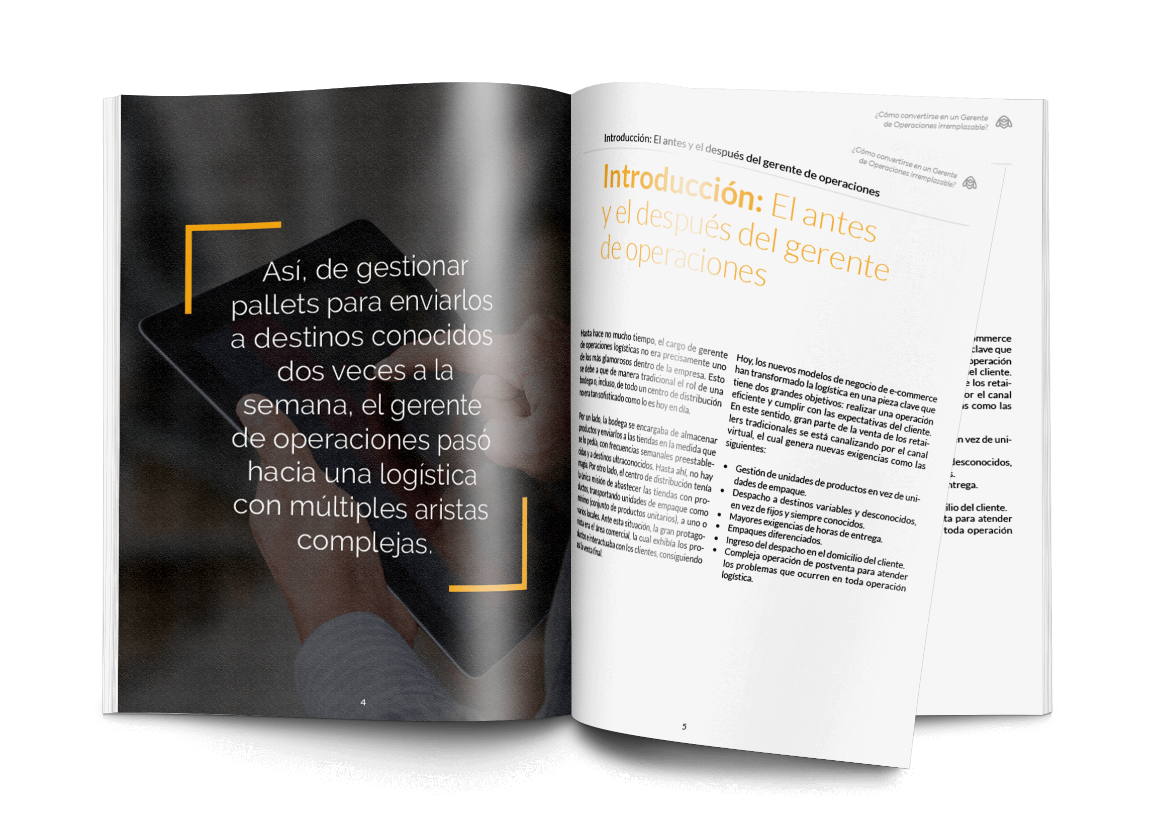 BEE - ¿Cómo convertirse en un Gerente de Operaciones irremplazable_  - Portada abierta